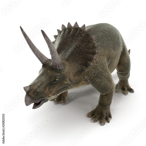 Triceratops dinosaur on white. 3D illustration © 2dmolier