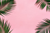 Tropical palm leaves on pastel pink background