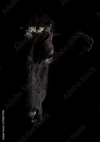 Wagyu 2