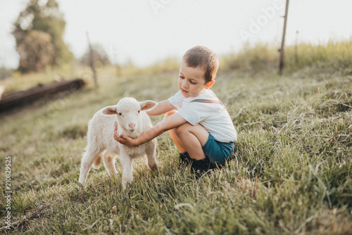 little boy playing with a lamb in a field 