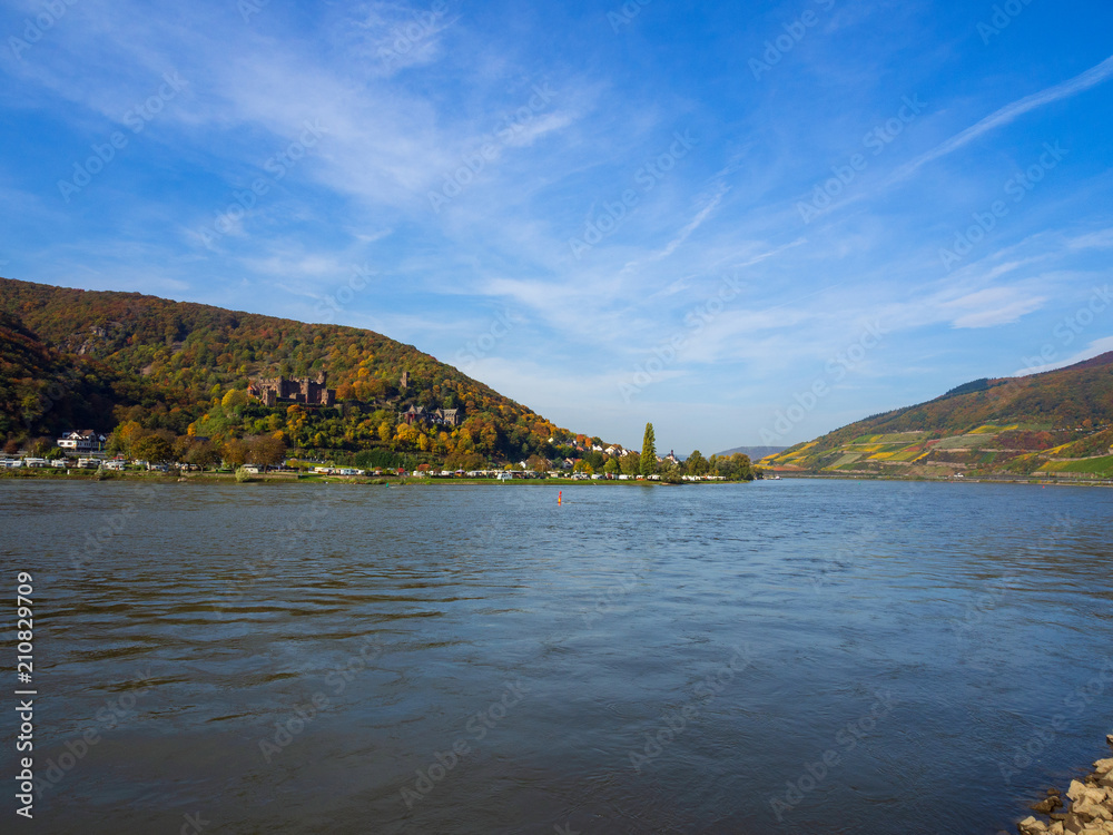 Der Rhein mit der Burg Reichenstein im Hintergrund