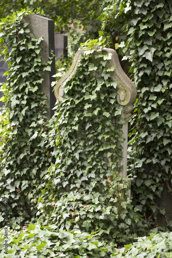 Fototapeta premium Tombstone on the Prague Jewish Cemetery, Czech Republic