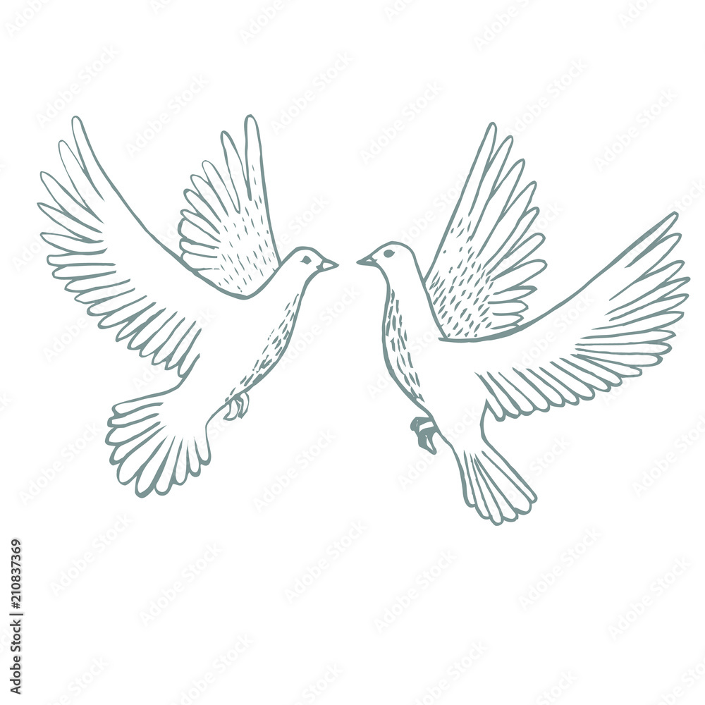 Obraz premium Flying Doves in Hand-Drawn Style