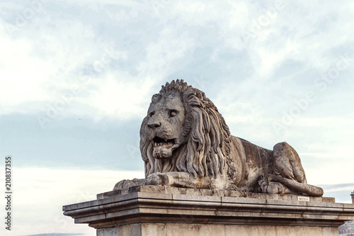 Chain bridge lion at sunset with tourists