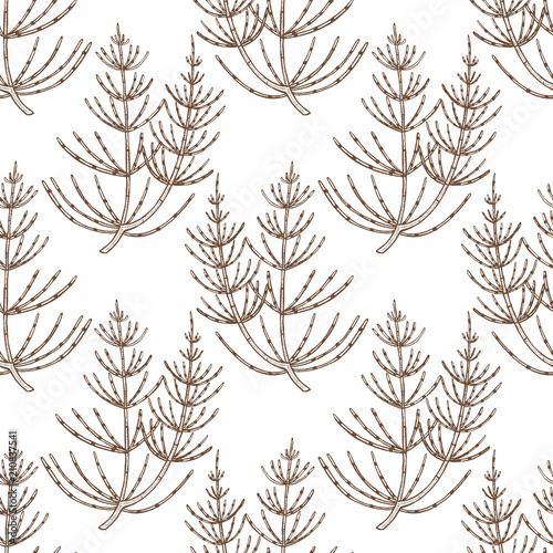 Equisetum Pattern in Hand-Drawn Style