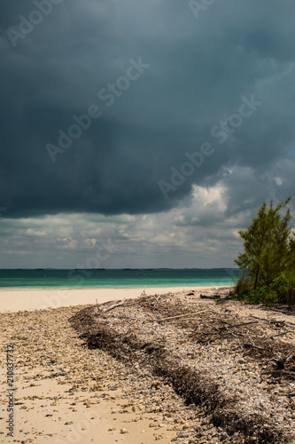 Beach on lonely island  Bahamas
