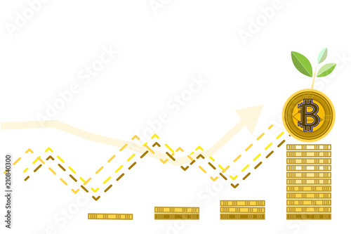 Bitcoin,Blockchain,Cryptocurrency .Benefit ,margin,Value growth for investments,Copy space for your text.