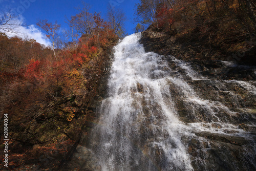 シャクナゲの滝 © 巌 丸山