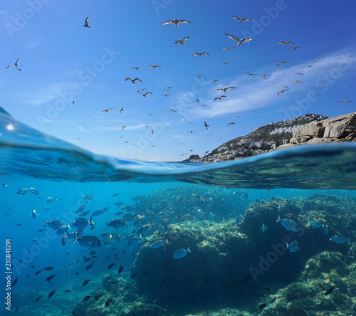Obraz na plátne Seabirds flying in the sky and a shoal of fish with rocks underwater, split view