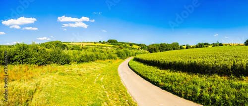 Road through a rural summer landscape