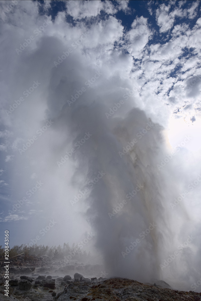 Obraz premium Major Eruption of Steamboat Geyser