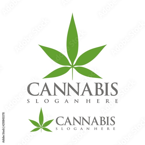 Marijuana  cannabis logo design template vector illustration