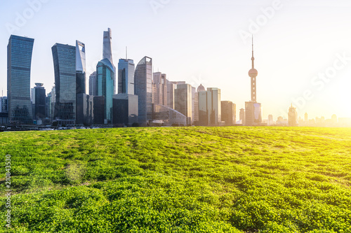 green lawn with city skyline © THINK b