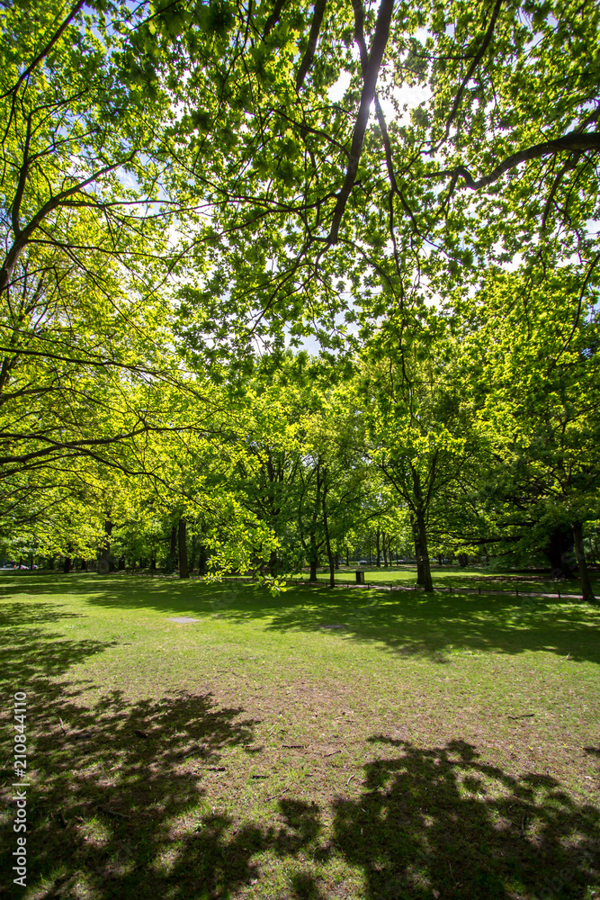 Obraz premium Tiergarten in Berlin, Germany