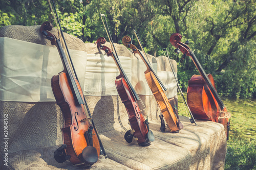 Music and nature concept. String instruments, one cello and three violins on the ceremonial chairs in nature. Close up. photo