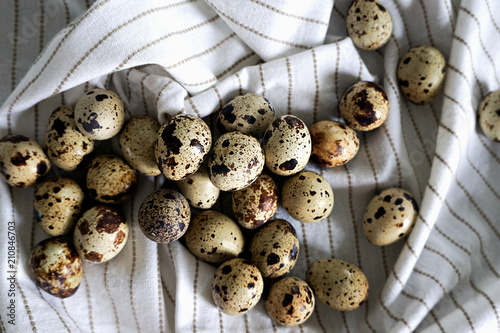 Quail eggs spotted small on white background photo