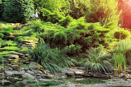 Beautiful view on cute backyard in sunny day, fresh green grass lawn in sunlight, landscaping in the garden