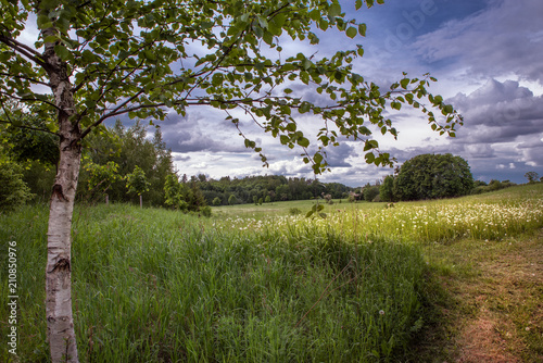 Masuren-Landschaft photo