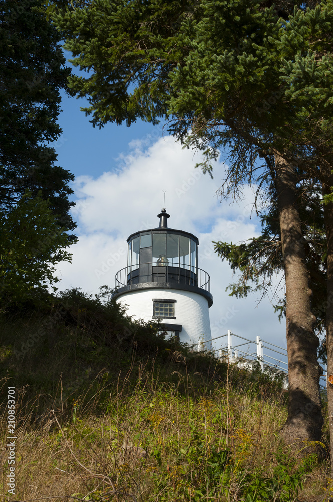 Hilltop Lighthouse by Evergreen Trees in Maine