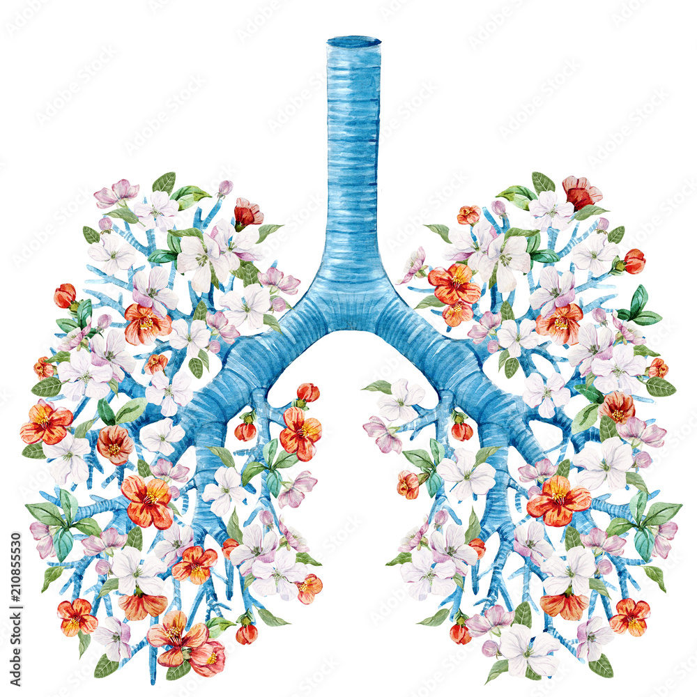 Illustration of lungs with blooming flowers StockIllustration Adobe