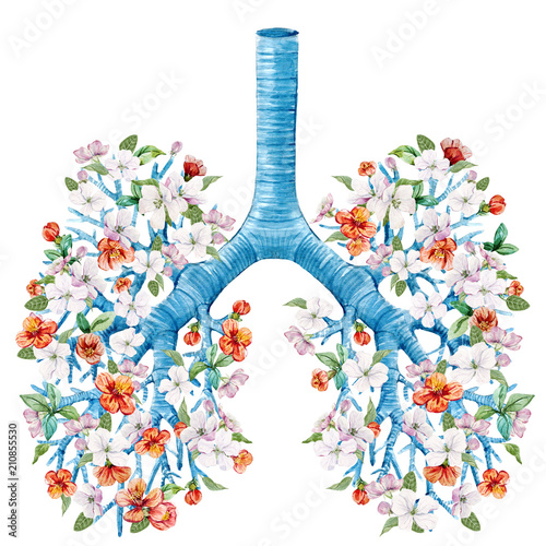 Illustration of lungs with blooming flowers