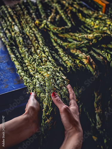 cropped shot of woman holding braided aveluk selling on farmers market at armenia photo