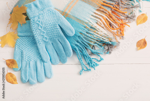 blue gloves and scarf on wooden white background