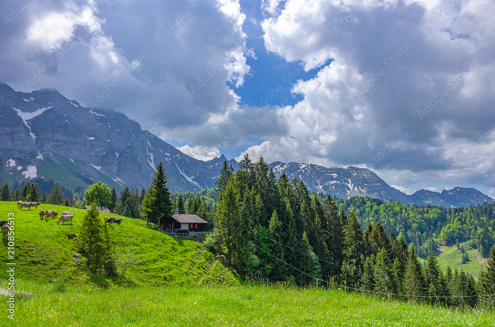 Rural Mountain Landscape in the Swiss Alps
