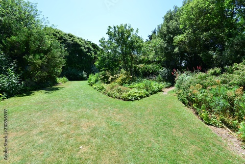 An English country garden in summertime 