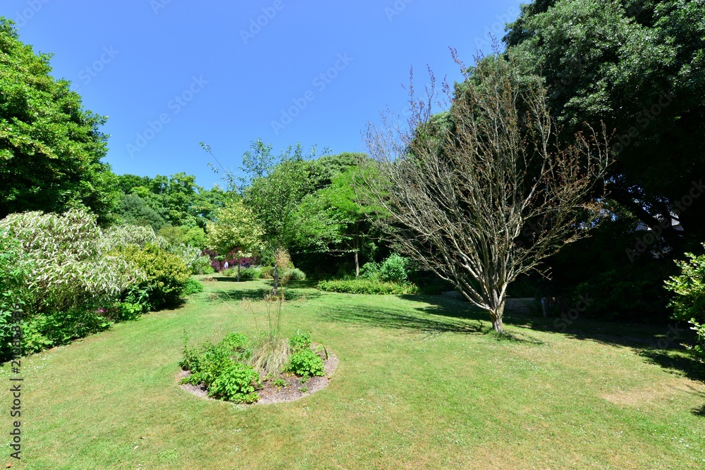 Fototapeta premium An English country garden in summertime. 