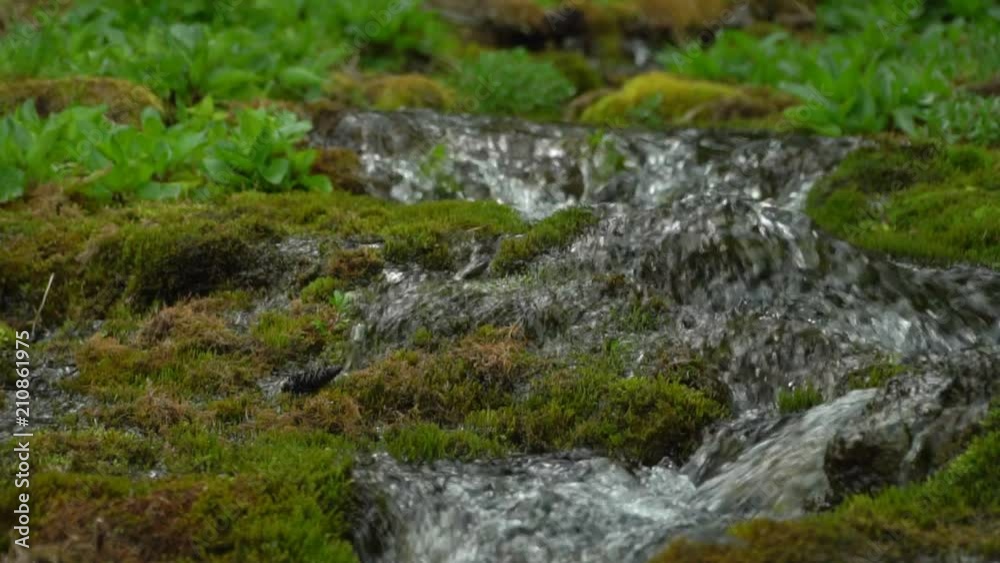 Beautiful mountain stream. Clear water. Slow-motion shot. Beautiful mountain stream. Clear water. Slow-motion shot.