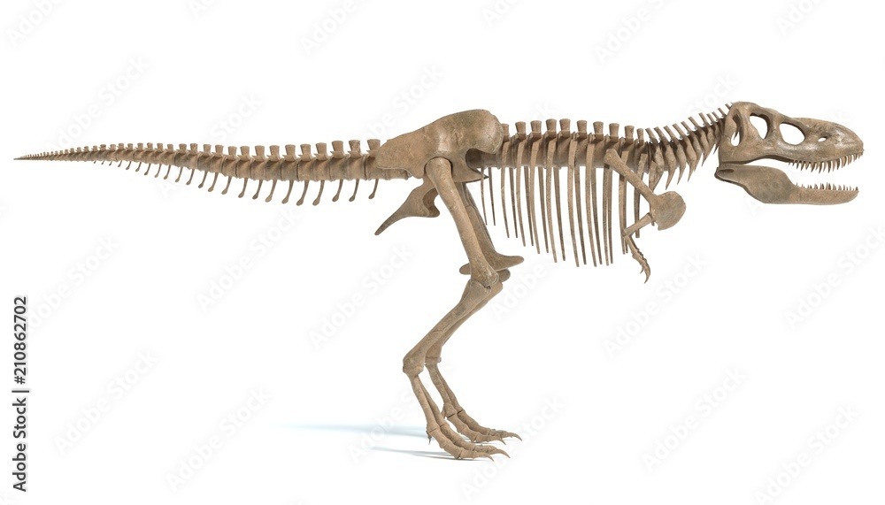 Obraz premium 3d ilustracja t-rex kościec