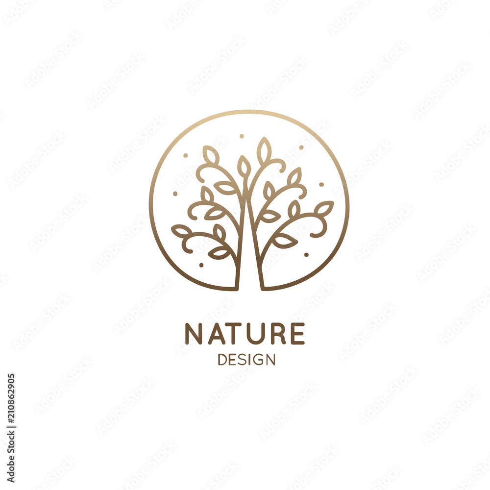 Fototapeta premium Tropical jungle tree