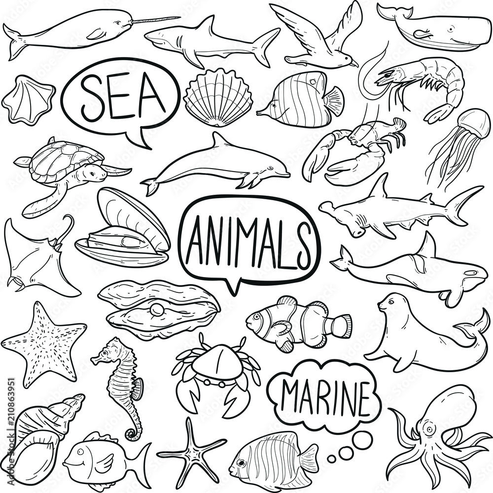Set Cute Animal Sea Fish Ocean Cartoon Wheel, Shark, Turtle, Squid,  Stingray, Dolphin Collection illustration 4648650 Vector Art at Vecteezy