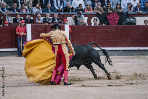 Man bullfighter dressed in bullfighting costume.