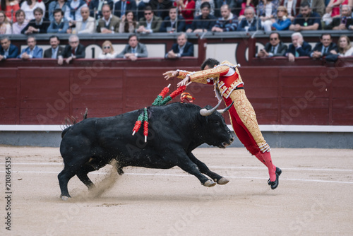 Man bullfighter dressed in bullfighting costume.