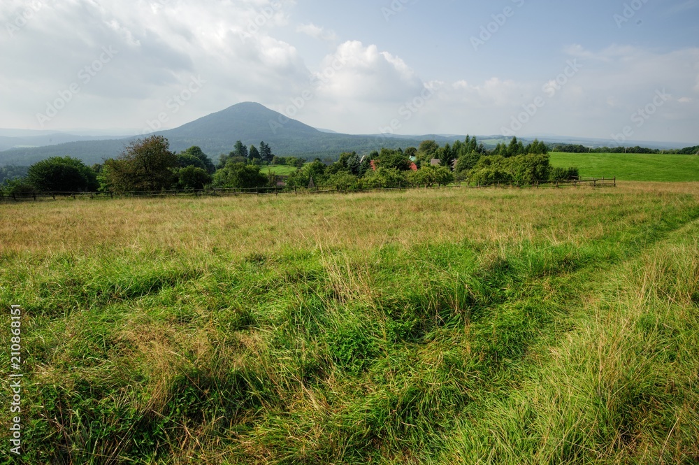 Beautiful green landscape with meadow, trees and sky