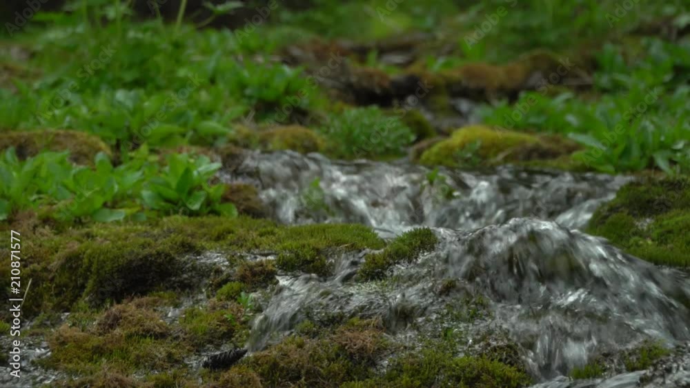 Beautiful mountain stream. Clear water. Slow-motion shot. Beautiful mountain stream. Clear water. Slow-motion shot.