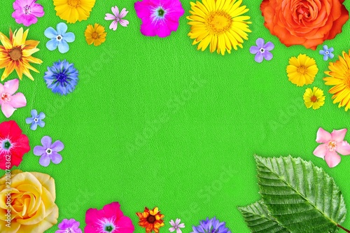 Beautiful flower frame with empty in center on green gentle leather background. Floral composition of spring or summer flowers.