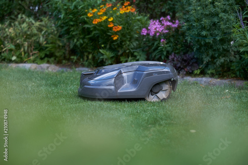 The robot mows the lawn according to schedule photo