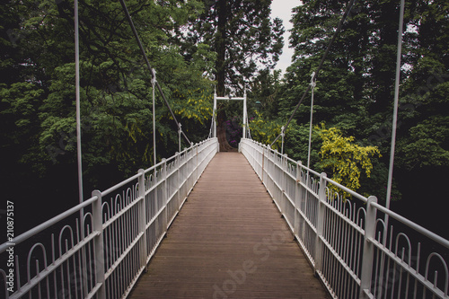 Bridge on Ness Island