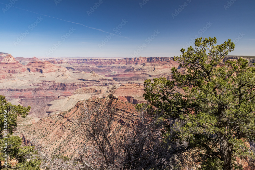 View  from Grandview Trail into the Grand Canyon, Arizona, USA