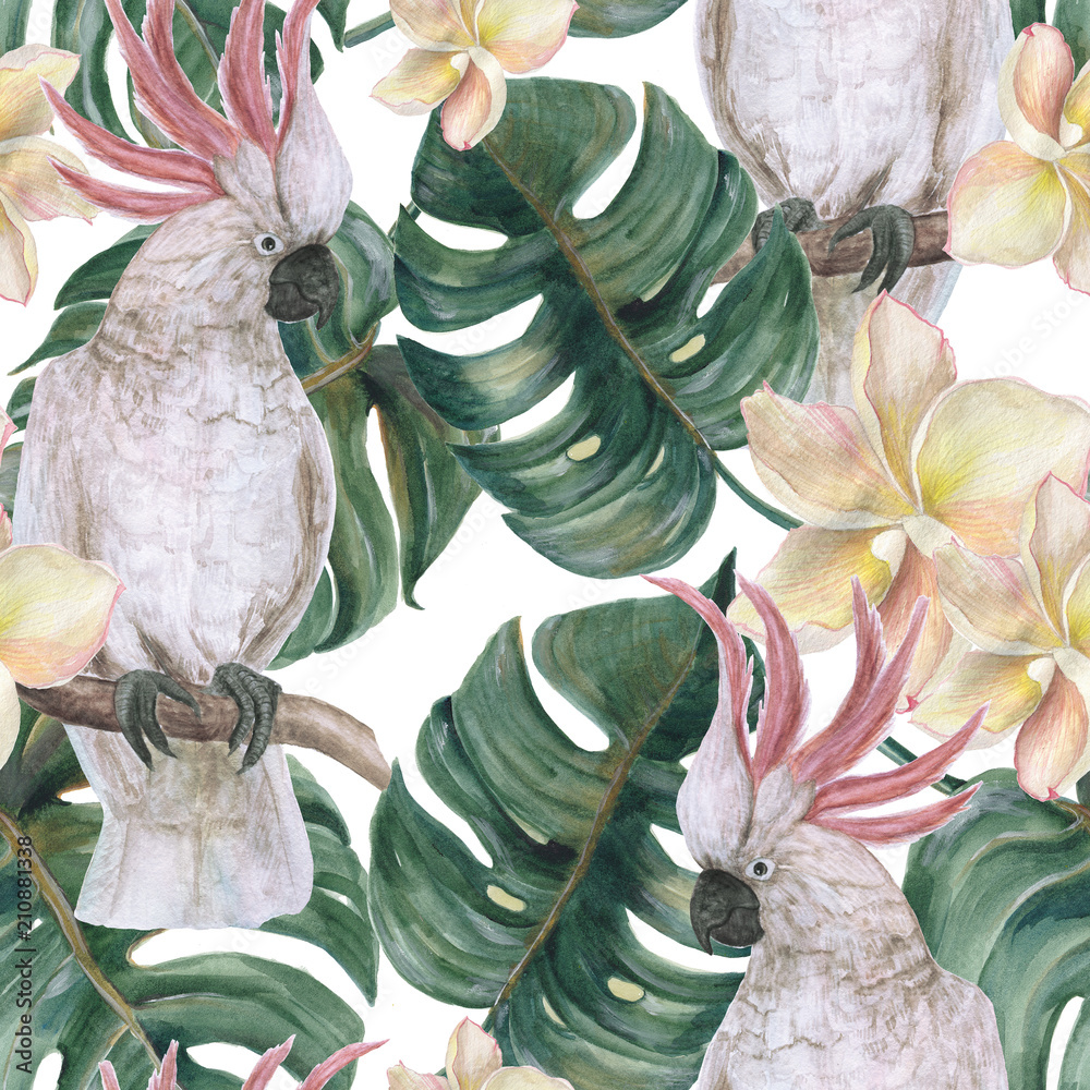 Fototapeta premium Akwarela malarstwo bezszwowe wzór z liści tropikalnych deliciosa, kwiatów plumeria i kakadu