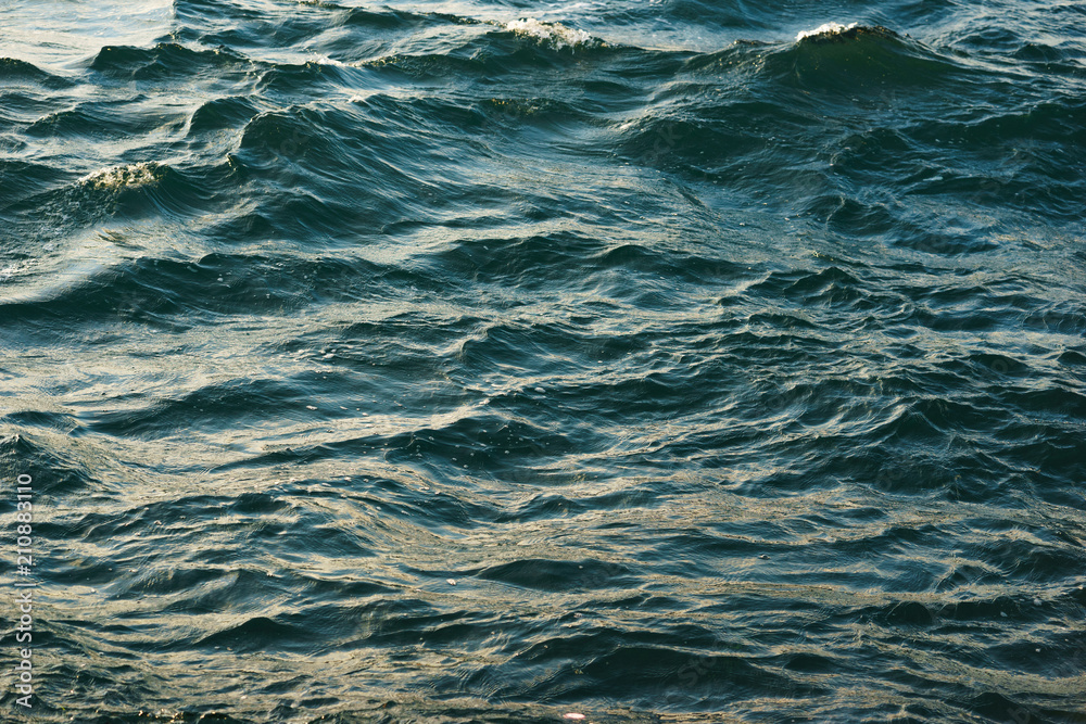 Fototapeta premium Surface of the sea with small waves of turquoise color.