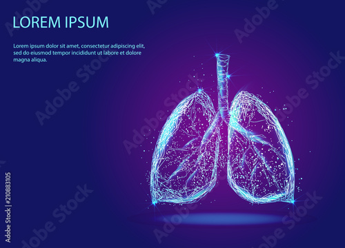Abstract image of human lungs in the form of a starry sky or space, consisting of points, lines and shapes in the form of planets, stars and the Universe. Low poly vector photo