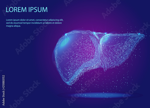 Human Liver Abstract image of human liver in the form of a starry sky or space, consisting of points, lines and shapes in the form of planets, stars and the Universe. Low poly vector