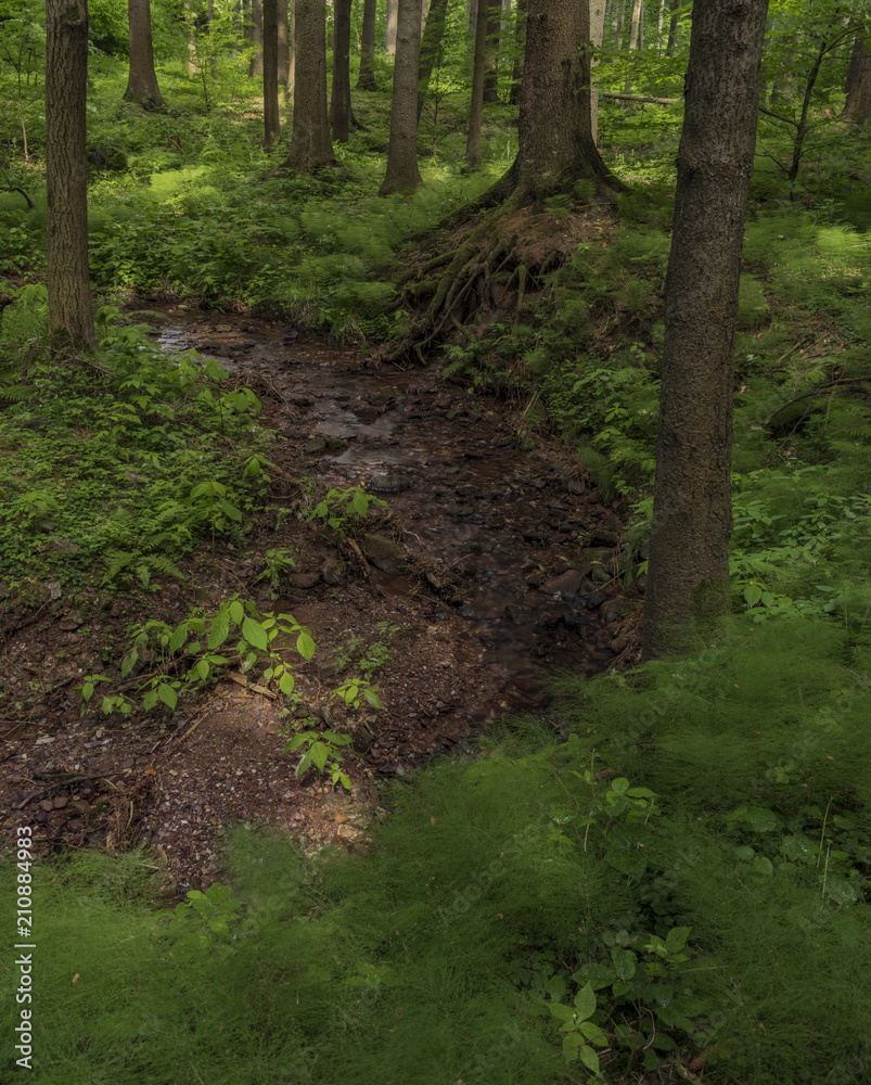 Small creek near Bradlecka Lhota village Small creek near Bradlecka Lhota village