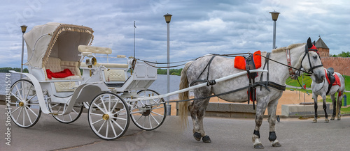 Foto Walking carriage with gray horse to be ridden by tourists.