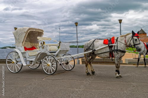 Walking carriage with gray horse to be ridden by tourists. photo