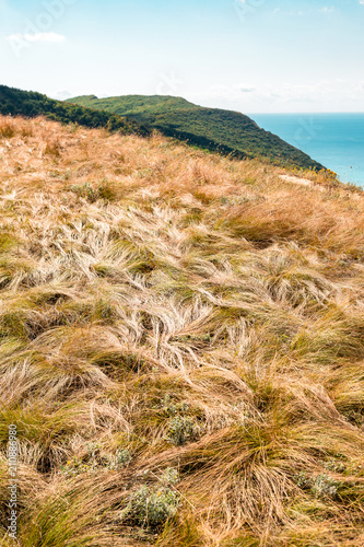 dry grass on a hill, the sea after a mountain, autumn